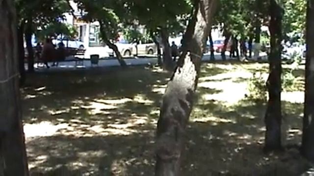Украина Город Токмак превращают в пустыню дерьвья на дрова смотреть онлайн