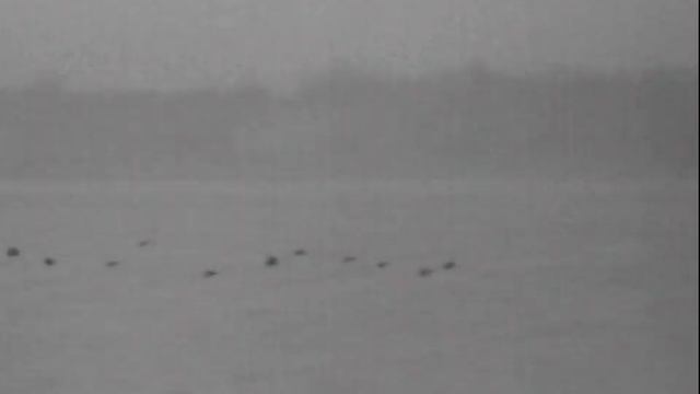 Охота на куропаток смотреть онлайн