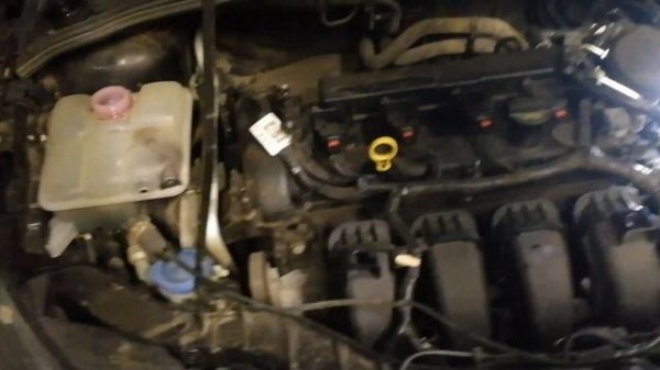 замена обратки антифриза, форд фокус 3. Дневник форда 8ч.