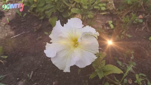 ПРОЩЕНИЕ МАМЫ - медитация Как отпустить обиды и детские травмы смотреть онлайн