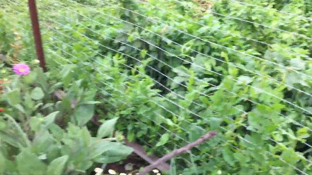 Продолжение отчета❤️ смотреть онлайн