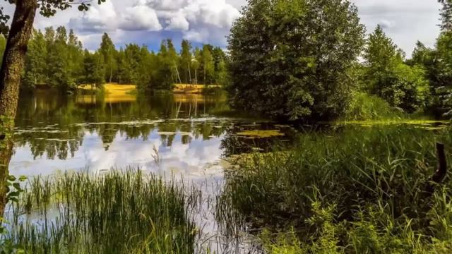 Войди в это состояние и сила Божья начнет действовать в тебе. Игумен Никон Воробьев. смотреть онлайн