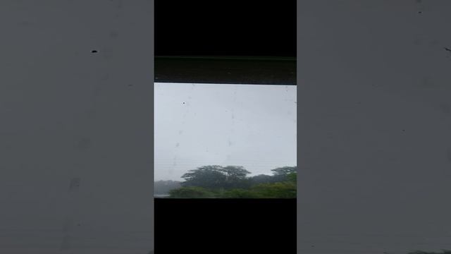 Сегодня Дождь 18.06.2022г смотреть онлайн