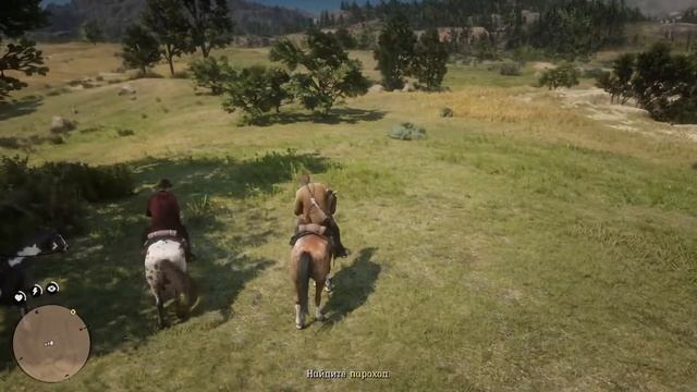 СПАСЕНИЕ ШОНА И ОХОТНИКИ ЗА ГОЛОВАМИ ► Прохождение Red Dead Redemption 2 #14 смотреть онлайн
