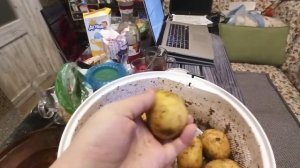 Картофелечистка в работе, чистит сама картофель.