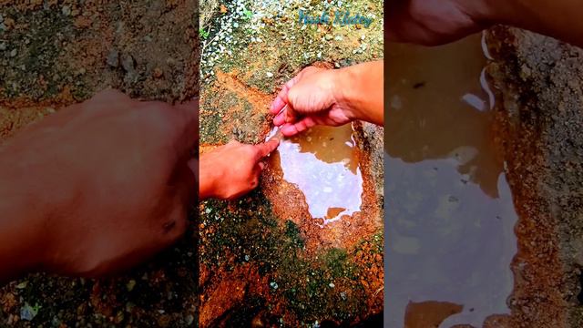 wajib kuasai ilmu ini andai ingin jadi pemancing udang galah #udanggalah смотреть онлайн