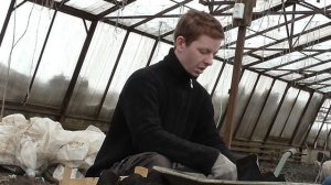 Заполняем землей стаканчики для рассады