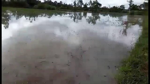 ฝนแฮงคักพี่น้อง บ้านแอดมินจมบาดาลแล้ว น้ำท่วมข้าวเบิด น้ำรวดน้ำหลากเลยครับตอนนี้!! смотреть онлайн