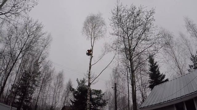 БЛАГОУСТРОЙСТВО УЧАСТКА КУПИЛИ ДАЧУ ДЕЛАЕМ ВСЁ ПОД СЕБЯ смотреть онлайн