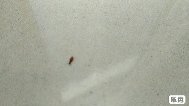 Жучки в квартире , что они могут. Видео от специалиста. смотреть онлайн