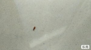 Жучки в квартире , что они могут. Видео от специалиста.