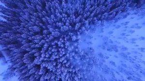 Омар Хишам- Сура 73 Аль-Муззаммиль