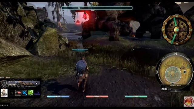 ESO Morrowind Quest, Shadowfen "The Hatching Pools" PvE смотреть онлайн