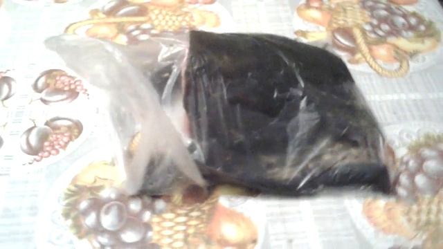 Отрезанная голова сома дышит смотреть онлайн