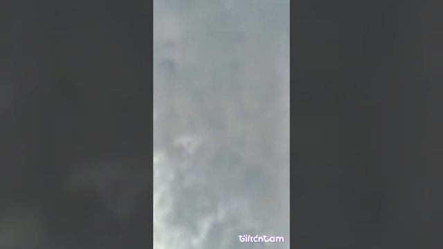 Toyota hilux invincible #toyota смотреть онлайн