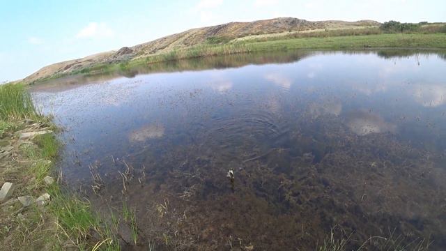 Рыбалка на речке Мукурке Вечёрка смотреть онлайн
