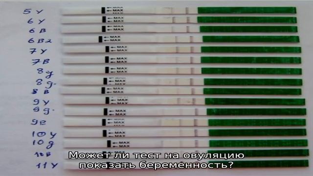 Все о тестах на овуляцию. Как правильно делать тест на овуляцию? смотреть онлайн