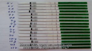 Все о тестах на овуляцию. Как правильно делать тест на овуляцию?
