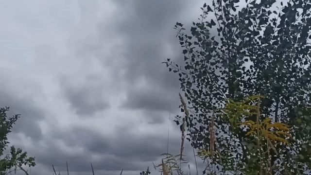 16 октября народный праздник День Деонисия. Народные приметы и традиции. Что делать нельзя. смотреть онлайн