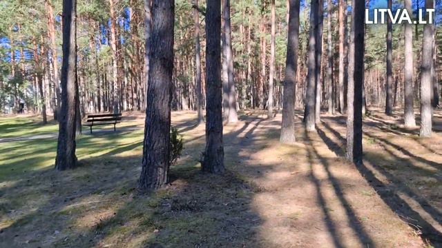 Санаторий Egle Comfort Друскининкай 29.03.2023 | Litva.lt