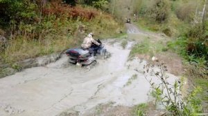 В ГРЯЗЬ НА STELS GUEPARD, CF MOTO X6, РМ 650-2.