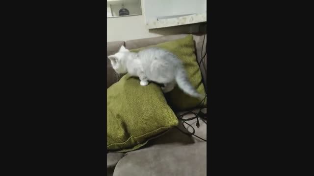 про катов смотреть онлайн