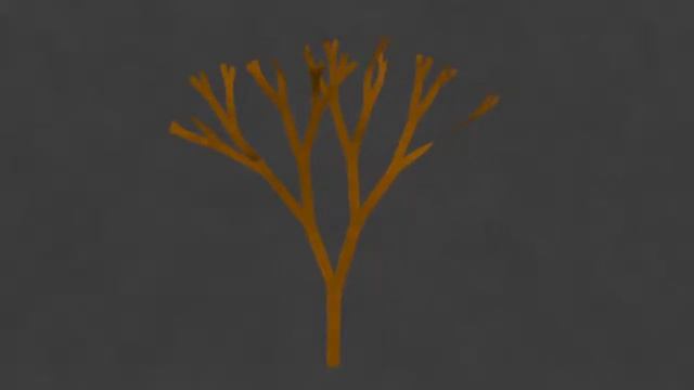 Animacion Dictyota смотреть онлайн