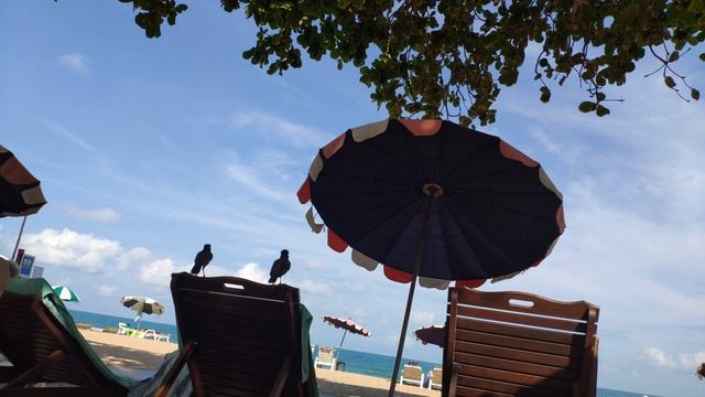 Тайланд, о.Самуй (Koh Samui), пляж Чавенг Ной (Chaweng Noi Beach). От рассвета до заката смотреть онлайн