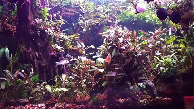 Relax!Нежный и крепкий СОН, глубокий релакс и успокоение нервной системы!Лечебная музыка здоровья!!