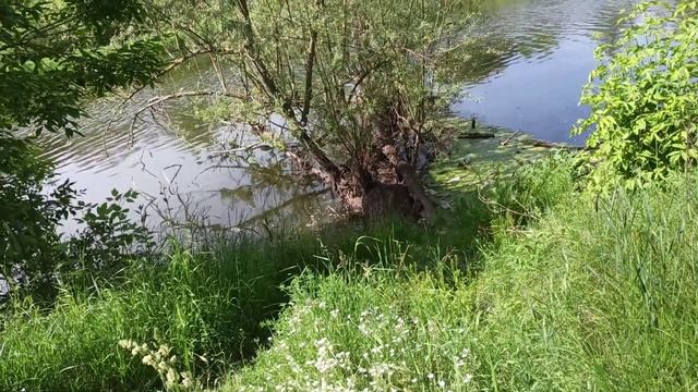 Долина #3 смотреть онлайн