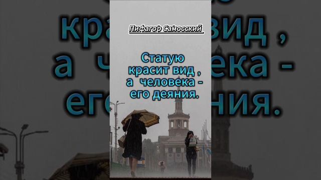 #shorts Статую красит вид #мудрость смотреть онлайн