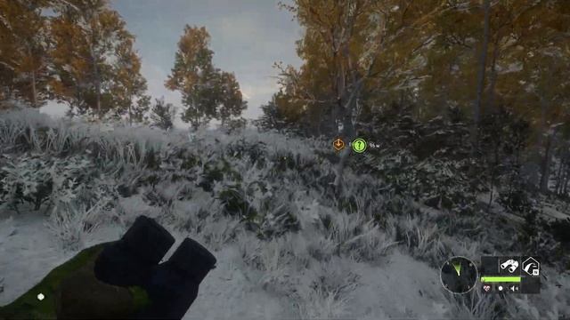 Охотимся в заказнике Аляска, долина Юкона | theHunter Call of the Wild (2023) #26 смотреть онлайн