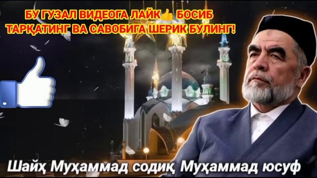 Қош териш мумкинми? шайх мухаммад содик мухаммад юсуф.savol-javob Qosh terish mumkinmi? savol-javob смотреть онлайн