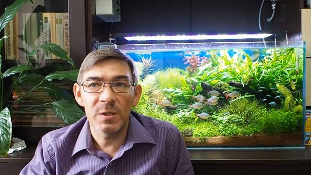 Основные показатели воды в аквариуме и подготовка воды для растительного аквариума смотреть онлайн
