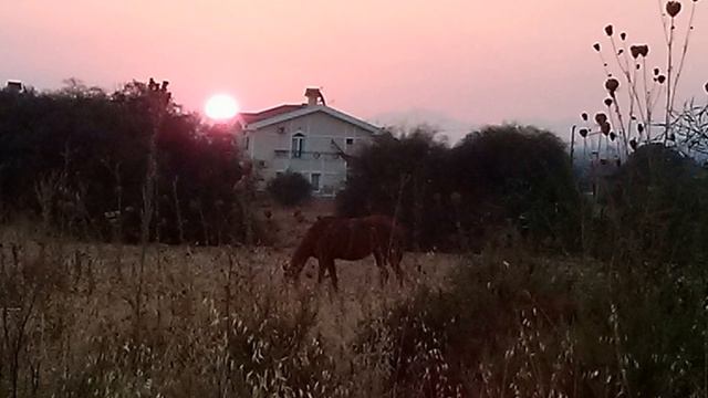 Мои рассветы на Северном Кипре))) смотреть онлайн