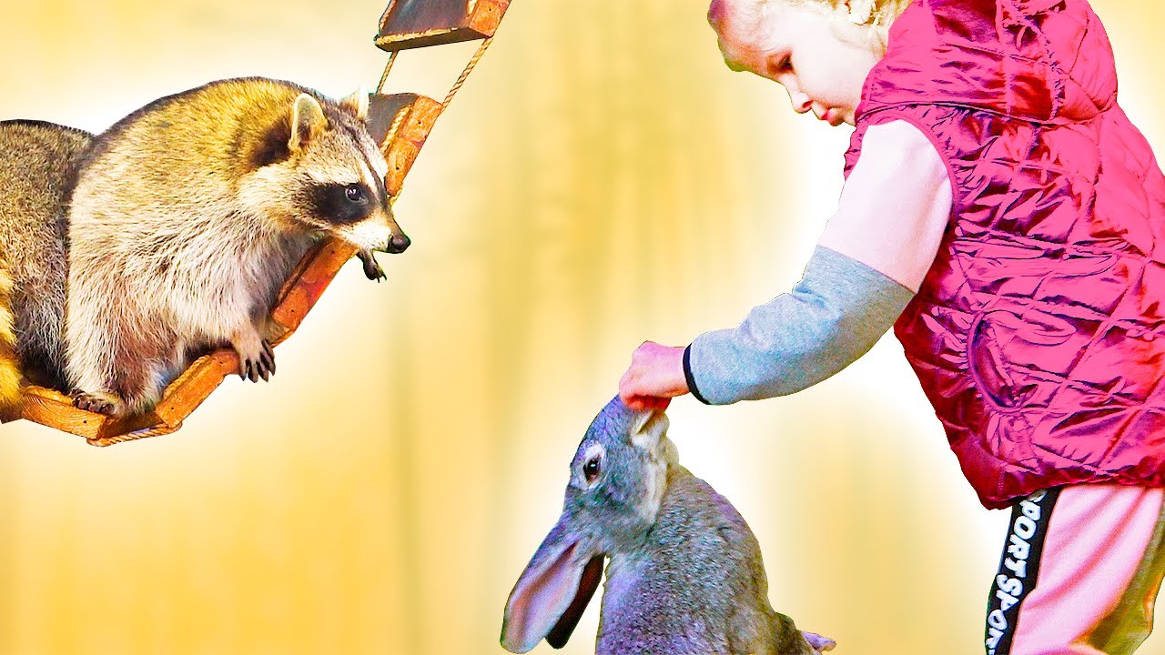 Кормим животных на домашней ферме для детей смотреть онлайн