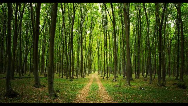 MECO I ORK 777 - YOL VER DAGLAR смотреть онлайн