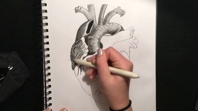 How to Use Charcoal and Ink Together: Human Heart Drawing смотреть онлайн