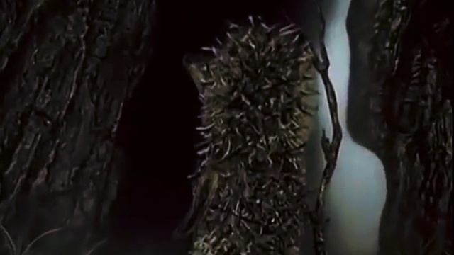 ёжик в тумане смотреть онлайн