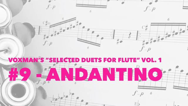 Voxman’s “Selected Duets for Flute” Vol. 1 // No. 9 - Andantino смотреть онлайн