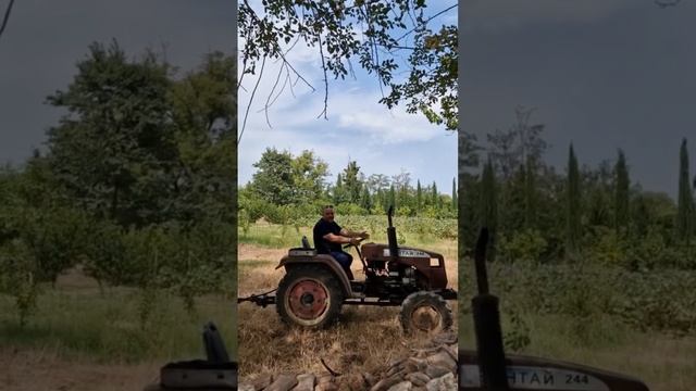 Грузия родина винограда смотреть онлайн