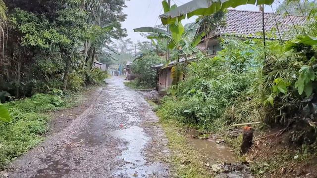 Super heavy rain and strong winds in my village | Sleep instantly with the sound of heavy rain смотреть онлайн