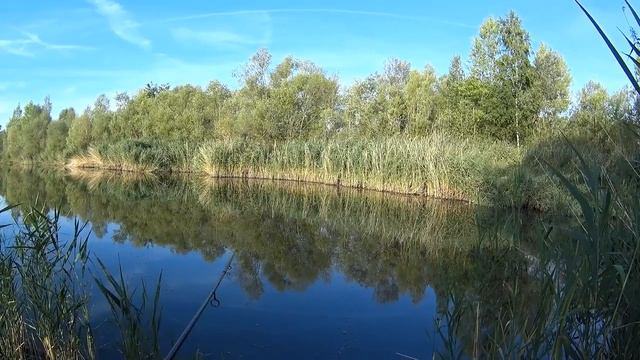 Линь на спиннинг, ультролайт, Наноджиг, рыбалка на спининг в жару. крупный окунь. джиг рулит смотреть онлайн