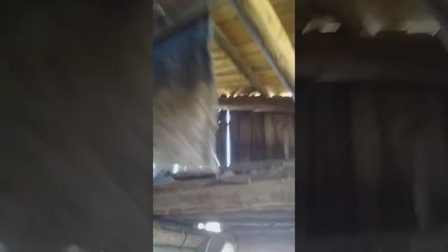 Как я реализовал водоснабжение и канализацию в своём дачном доме смотреть онлайн