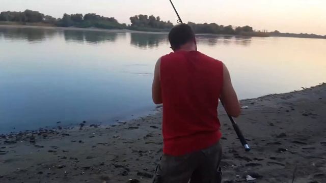 Первая рыбалка на р.Кубань. Сом (Американский) Куриная печень в действии. смотреть онлайн