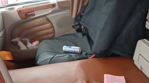 Классная SHANIA 10 т. с пробегом 1,5 миллиона км. Грузоперевозки по России на газели.