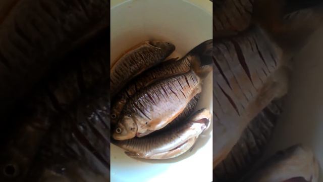 16 марта 2016 г. смотреть онлайн