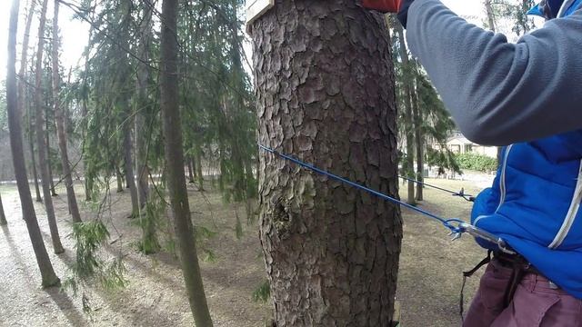Подключаем электричество в Беличьем городке (часть 1) смотреть онлайн