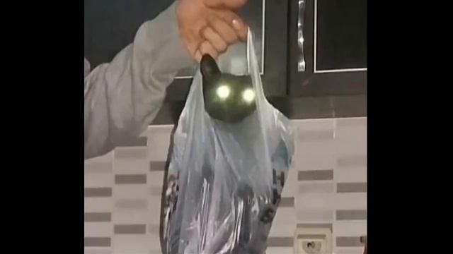 Диск cat is Minikraft кто знает перевод поймёд что я написал) ржачные картинки с котами)) смотреть онлайн