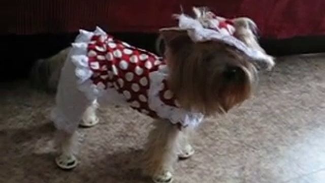 стрижка 055 смотреть онлайн